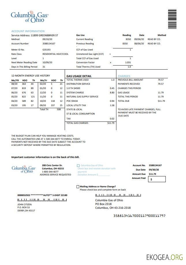 USA Columbia Gas of Ohio utility bill template in Word and PDF format